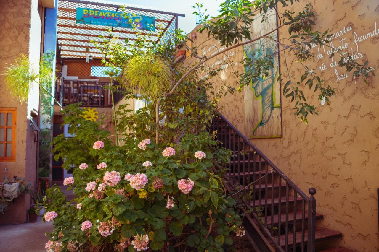 Hostal Valle Mistral Ла-Серена Экстерьер фото